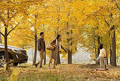 传《龙珠》新作是《龙珠：超宇宙3》！或27年发售